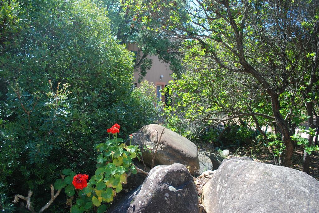 Residence Riviera Porto-Vecchio (Corsica) Exterior foto