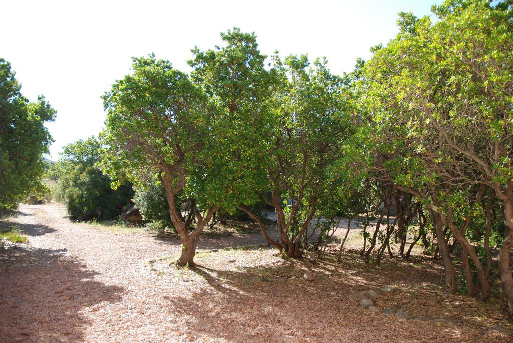Residence Riviera Porto-Vecchio (Corsica) Exterior foto